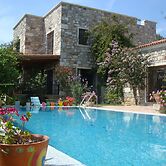 Important Group Villa Citrus