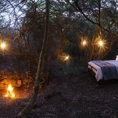 Stargazer Camp - Bellevue Forest Reserve