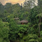 The Woods Resorts Wayanad
