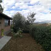 Il Castagneto
