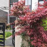 Suzhou Taihu Meilanju House