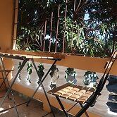 Under the Mango Tree