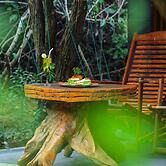 The Campers Lodge Luxury  Camp Yala
