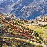 La Granja del Colca