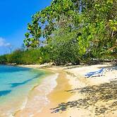 Irie Vibes