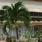 Dream Vacation ST Catherine Jamaica