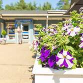 Yyteri Resort & Camping