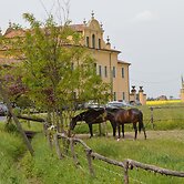 B&B Ca' Gialla