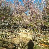 Abu Omair Jabal Shams Guesthouse