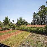 Paradise Holiday Resort