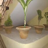 Hotel Zero Mile Rooms