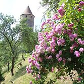 Weingut Gästehaus Weigand