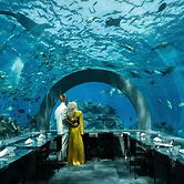 You & Me Maldives - Adults Only - Premium All-Inclusive