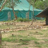 Nahubwe Safari Lodge