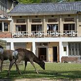 Mountain Home Lodge in Deer Park