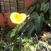 La Pineda Teotihuacan