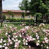 Agriturismo La Borina