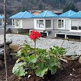 Blossom Bliss Resort