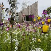 Sete Cidades Lake Lodge