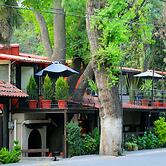 Posada Los Ahuehuetes