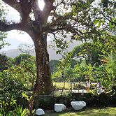 La Casita de Don Daniel