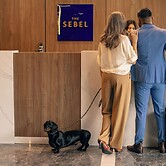 The Sebel Canberra Civic