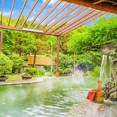 Ooedo Onsen Monogatari Shinshu Kakeyu