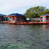 Bird Island Placencia