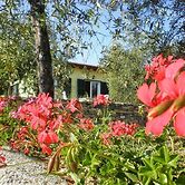 Agriturismo il Grande Ulivo