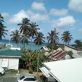 Fabulous Lab Seaview 2