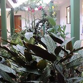 Pousada Brisa do Vale