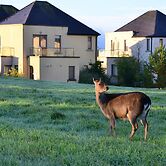 Waterford Castle Lodges