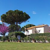 A l'orée des vignes