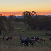 High Country Trail Rides & Farm Stay