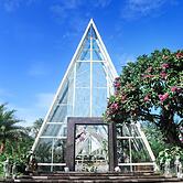 Amaryllis Boutique Resort