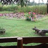 Lotus Chalets Eco Hotel