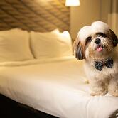 ibis Juazeiro do Norte