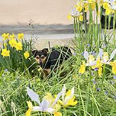 Bed and Breakfast L'Abete