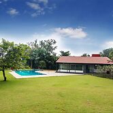 Tranquil Woods By Jade