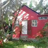 Green Jungle Hotel y Restaurante