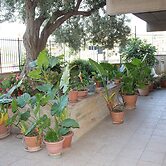 B&B Ulivo