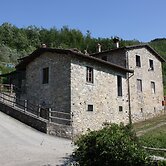 Le Chianine dei Tognoli