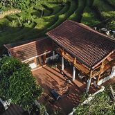 Lucky Daisy Buffalo House