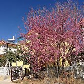 37 Garden Guesthouse Shilin Family