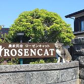 ROSENCAT