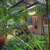 Chambers Wildlife Rainforest Lodges