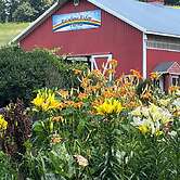 Rainbow Ridge Farms Bed and Breakfast Onalaska/La Crosse