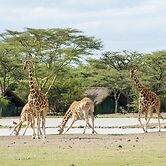 Sweetwaters Serena Camp