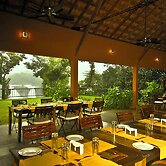 Rainforest Boutique Resort