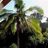 Bamboo Valley Inn